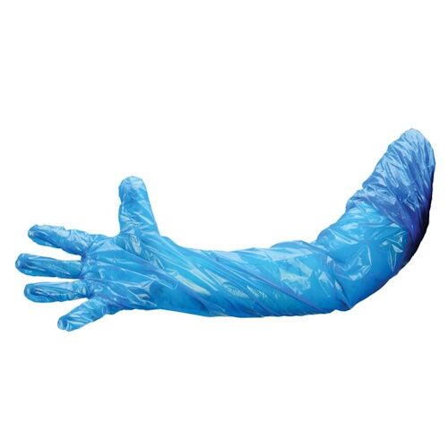 pol1.jpeg Vienreizlietojamie polietilēna cimdi Polyco GL2950, zilas, iepakojumā, L (100 gab.) - Image 1